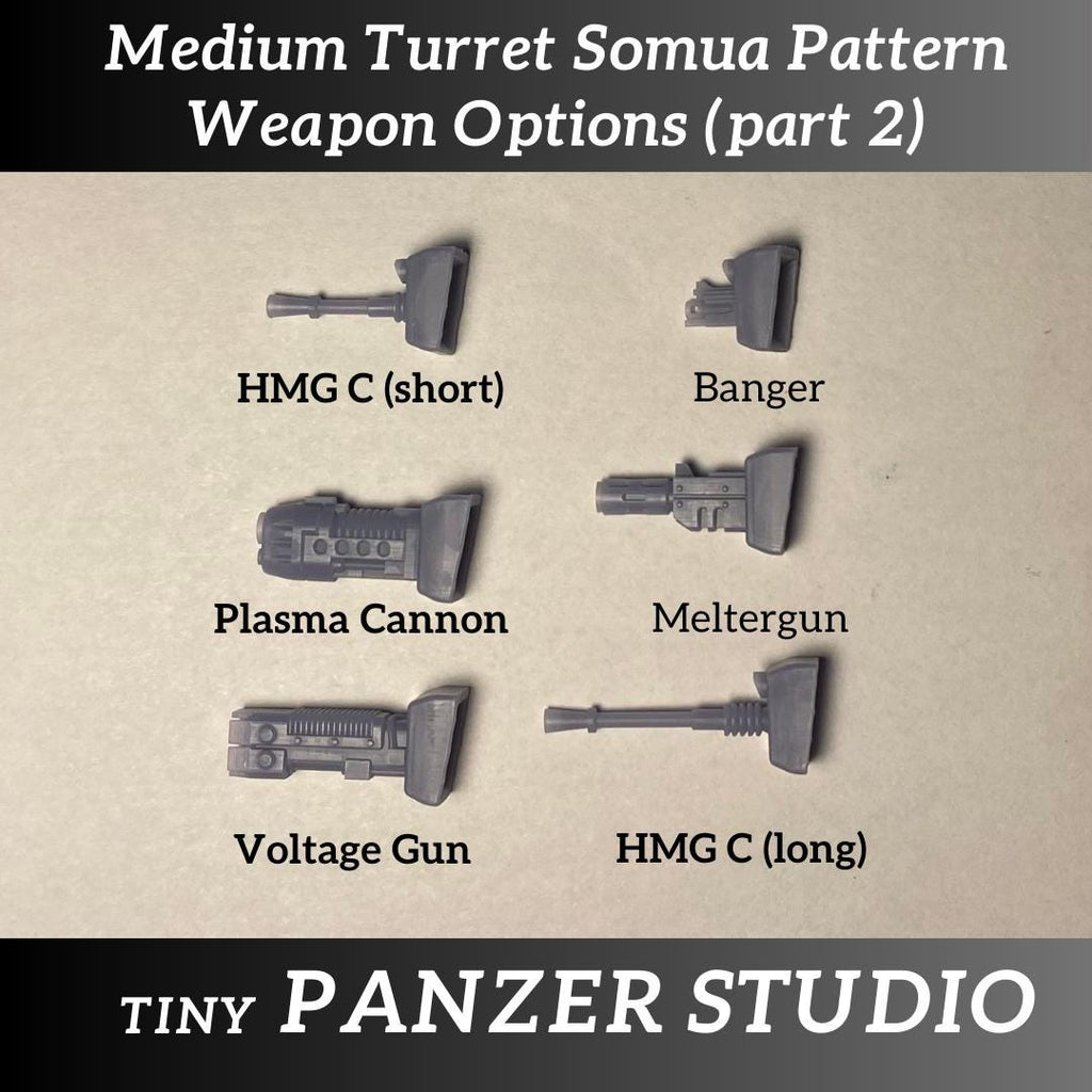 Extra Weapons for Somua type mounts